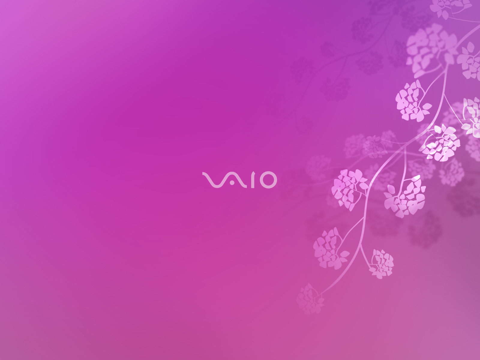 Sony VAIO 664600573